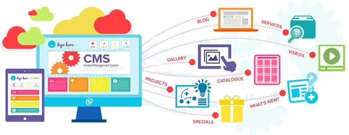 cms nonprofit website design