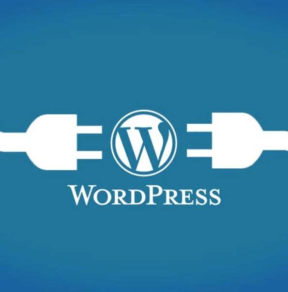 WordPress Custom Plugin Development